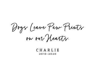 Paw Prints on our Hearts Frame - F16