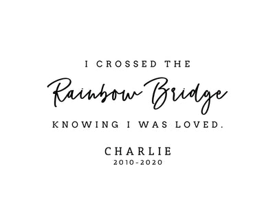 Crossed the Rainbow Bridge Frame - F17